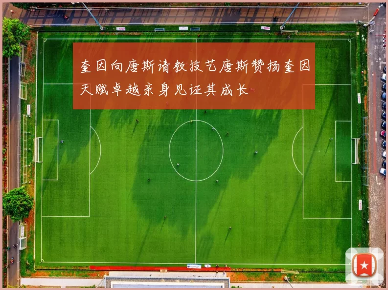 奎因向唐斯请教技艺唐斯赞扬奎因天赋卓越亲身见证其成长